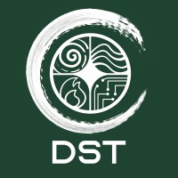 DST: Drafting Solution Technology logo - Similar company to Frontier Fire Design