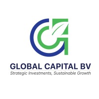 Global Capital BV logo - Similar company to Experiential Academy