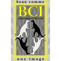 Beau Comme une Image logo - Similar company to Dynamic Lab