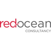 Redocean Consultancy logo - Similar company to Super Twin Project Sl