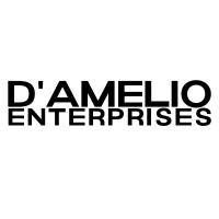 D'Amelio Enterprises logo - Similar company to D'Amelio Brands Llc