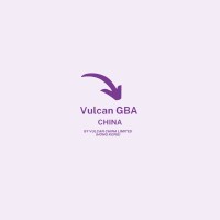 Vulcan GBA China (Vulcan China Limited) logo - Similar company to Lase-X