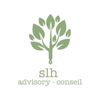 SLH advisory - conseil logo - Similar company to Leadwise Hub