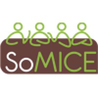 SoMICE Sàrl logo - Similar company to Management Training, Lausanne