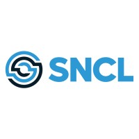 Snowden Consulting Ltd - SNCL logo - Similar company to Rstn Software