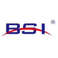 BSI Global Logistics logo - Similar company to Fr8Ace Logistics Solutions Llc