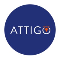 Attigo Fintech & Blockchain, Inc logo - Similar company to Deepway