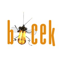Böcek Films logo - Similar company to Depo
