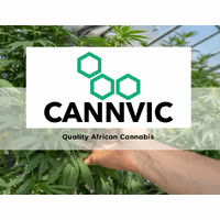 CannVic (Pty) Ltd logo - Similar company to Mositi Mabena Investment Group (Pty) Ltd