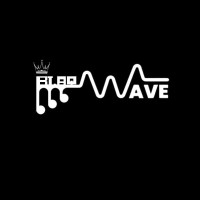 BlaqWave Inc logo - Similar company to Verance Design Studio