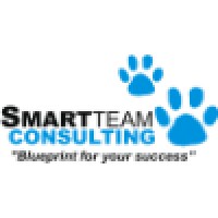 Smart Team Consulting logo - Similar company to Smartsolutions