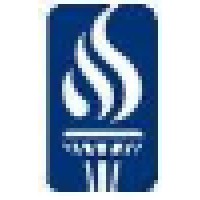 Globe Lighting logo - Similar company to Dolan Designs Inc.