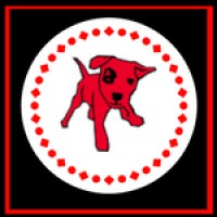 Red Dog Advertising & Marketing Services logo - Similar company to Norwest Advertising Ltd