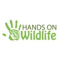 Hands on Wildlife