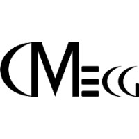 Dm Engineering And Consulting Group (Dm-Ecg Llc)