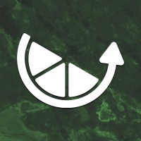 Little Lime Media logo - Similar company to Linkbroker