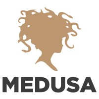 Medusa logo - Similar company to Versus