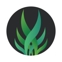 Pyrifera Investments logo - Similar company to Datalytics Consultancy