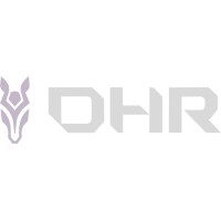 Dark Horse Risk Advisors logo - Similar company to Sound And Screen Finance