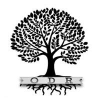 ODR Group, LLC logo - Similar company to Odr