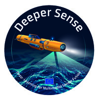 DeeperSense logo - Similar company to Adaptatech