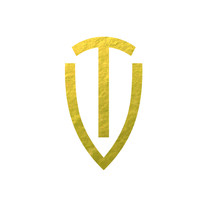Tavan Group logo - Similar company to Busque Engineering