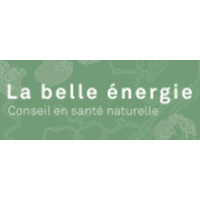 LaBelleEnergie logo - Similar company to La Belle Energie