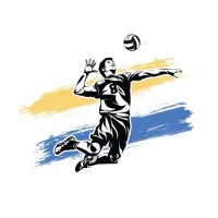 Sports logo - Similar company to Badminton Scholar