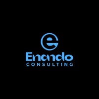 Innovations by Enando logo - Similar company to Techbridge Consulting