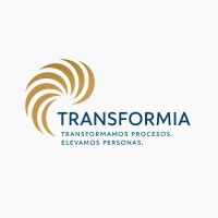 Transformia Consulting logo - Similar company to Bigdeo
