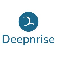 Deepnrise logo - Similar company to Wecraft