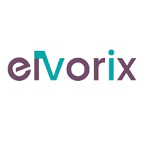 Elvorix logo - Similar company to Starwind Specialty Equipment Services (Sses)
