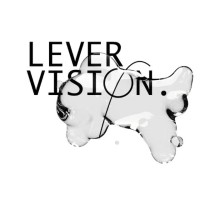 Levervision平衡视界 logo - Similar company to Brain Game Center