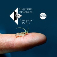 Plateforme Stella Mare - Università di Corsica/CNRS logo - Similar company to Cépralmar