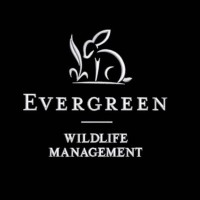 Evergreen Wildlife Management
