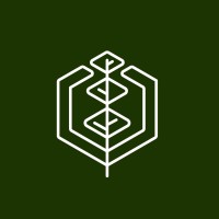 c•Tree logo - Similar company to Areytech Ai