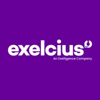 Exelligence PH logo - Similar company to Yocal