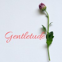 Gentletude logo - Similar company to Sc3Milano