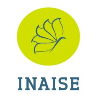 INAISE logo - Similar company to 4Itconseil
