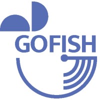 Go Fish Finance logo - Similar company to Bird Dog