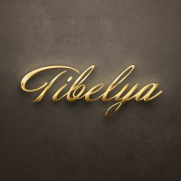 Tibelya logo - Similar company to Practice Communication Management