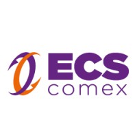 ECS Comex logo - Similar company to Gotahype