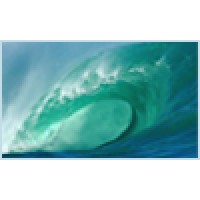 Sc B.E.S.Trading Rom Srl