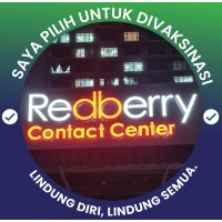 Redberry Contact Center Sdn Bhd logo - Similar company to Work At Play