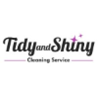 Tidy And Shiny Limited