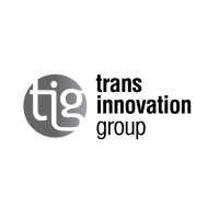 TIG - TI Group - Trans Innovation Group logo - Similar company to Transchip