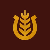 Showpony logo - Similar company to Ocozzio