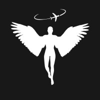 Sariel Jets logo - Similar company to Leapfly