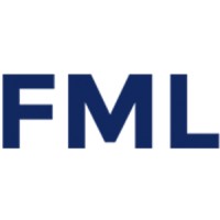 FML (excel + consultants) logo - Similar company to Allstar Tech
