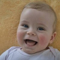 babysitter recruiters needed ASAP. logo - Similar company to Babysitter